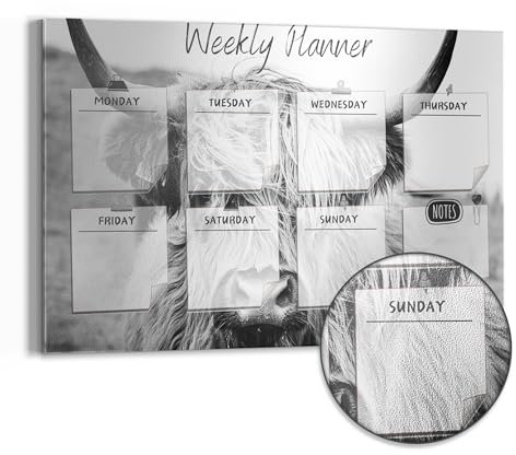 DEQORI Metall Magnettafel | 60x40 cm cm groß | Motiv NP Rind (EN) | Whiteboard für alle Magnete | Magnetboard Wand-Tafel für Küche & Büro | Design Magnetwand Pinnwand magnetisch