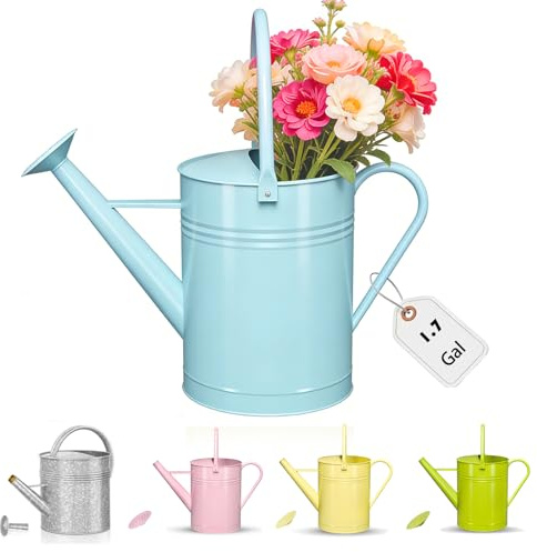 Regadera galvanizada para plantas de interior y exterior, regadera decorativa de 1.5 galones estilo rústico con boquilla extraíble, regadera de metal perfecta para plantas de interior y flores de