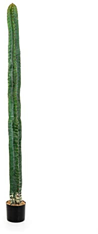 artplants.de Cactus Decorativo a Colonna ELKURUD, Verde-Rosso, 180 cm - Cactus Artificiale