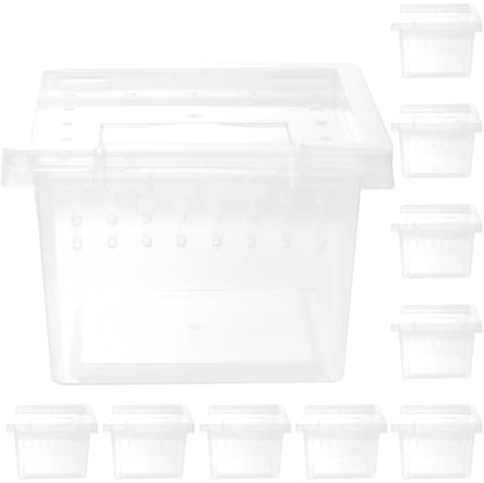 GLEAVI 10 Stück Futterbox für Reptilien aus Transparentem Kunststoff Leicht zu Reinigen für Echsen und Geckos im Terrarium und Transportbox