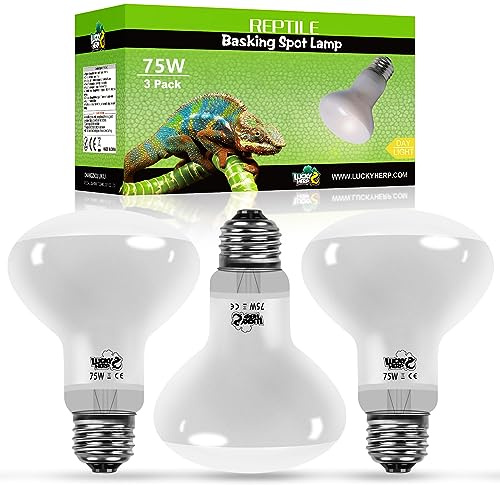 LUCKY HERP Reptile Heat Lamp 3 Pack 75W, UVA Heat Lamp Bulb for Reptile, Tortoise Basking Spot Light Bulb for Vivarium, Lizard, Bearded Dragon, Gecko, Puppy, Chick