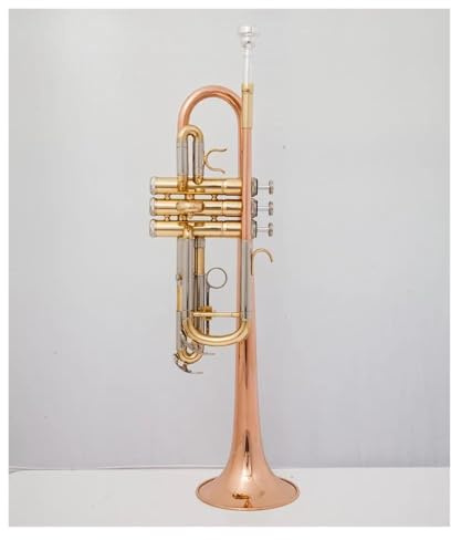 Professionelle Trompete, Messingrohr, C-Trompete, verstellbares Doppelhorn, vergoldete Oberfläche, professionelles Musikinstrument