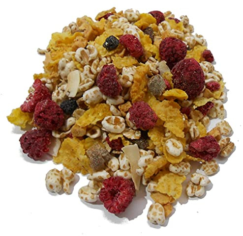BIO FRUCHT POWER MÜSLI I 23% Früchte I ohne Zuckerzusatz (enthält von Natur aus Zucker) I Vegan I gefriergetrocknete Himbeeren I Cornflakes I ohne Nüsse I 2500g