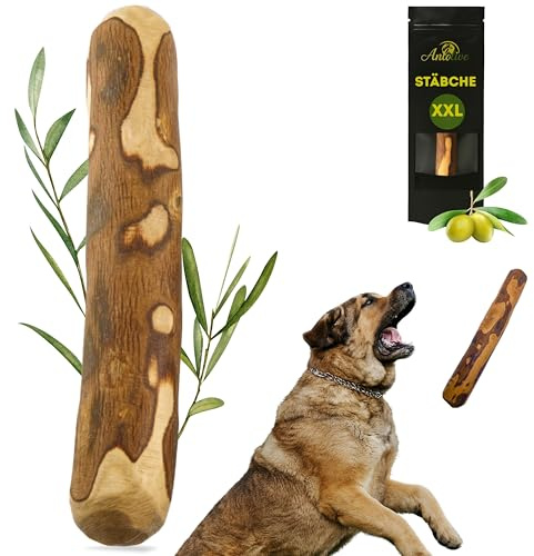 ANLOLIVE | Naturlig tuggleksak storlek XXL 37 cm | Stora och mycket stora hundar | Olivträ | Hållbar, säker och hälsosam leksak | Tandvård och stresslindring
