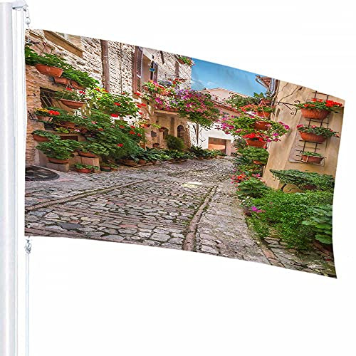 Décoration de drapeau de rue 0,9 x 1,5 m Feuille Nature Rock Floral Rectangle Carré Belle Plante Géométrique Maison Polyester Motif Imprimé Décoration d'extérieur pour Maisons et Jardins