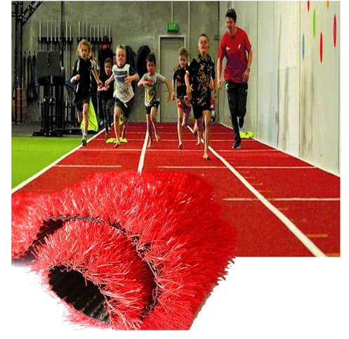 Artificial Grass, Outdoor Breathable Grass Roll, Realistic Fake Grass Rug, Outdoor Decor Soft Pet Turf Fake Grass, with Drain Holes (Color : Red-0.1ft, Size : 3.2x6.5ft)