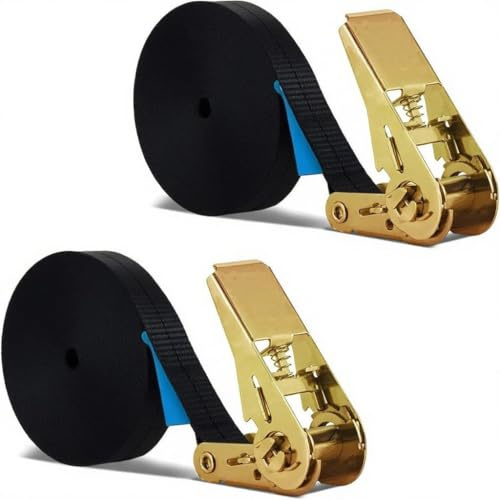 Cinghie a Cricchetto Nero, BetterJonny 2 Pezzi x 12M Cinghia di Fissaggio a Cricchetto Cinghie di Tensione da 25MM con Cricchetto Resistenti per Carico 1000 kg per Moto Bicicletta Truck, Totale 24M