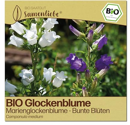 Samenliebe BIO Glockenblumen Samen | Marienglockenblume - winterhart - samenfestes BIO Saatgut