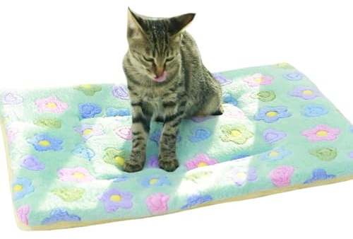 ZESLIV Hundematte Katzenmatte Flauschig, 55x40CM Haustier Flanell Decken, Hundebett Matte Schlafplatz für Hund Katzen, Grün