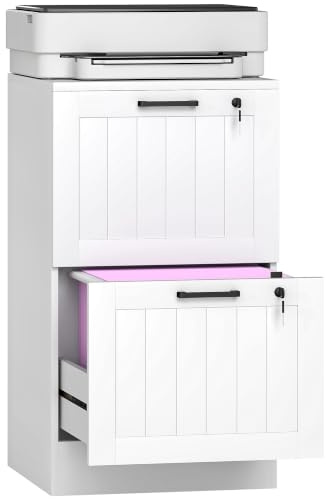 HOMCOM 2 Drawer File Cabinet with Lock for A4 and Letter Size Folders White | Vertical Filing Cabinet, Adjustable Hanging Bars, Printer Stand with Storage