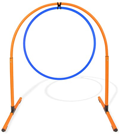 SPORTIKEL24 Hoopers Hoop mit Ring 70 – Agility Hoopers Reifen für Hundetraining – Hoop Orange/Sprungring Blau