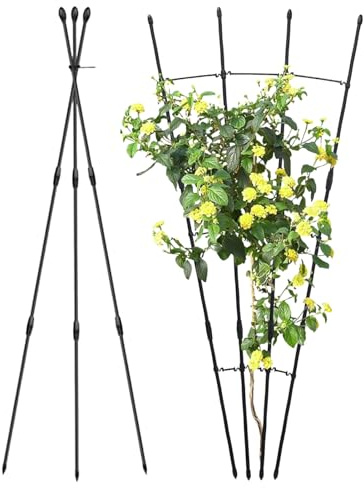 Enrejado para Plantas Trepadoras Exterior,2 Piezas Jaulas para Tomates En Maceta | Estructura Vertical Ahorro de Espacio Jardín para Pepino UVA Rosal Viñedo Patio Balcón Paisajismo