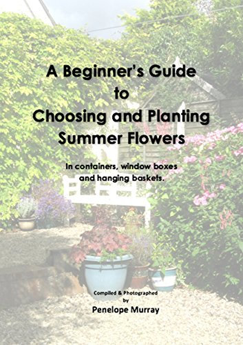 A Beginner’s Guide to Choosing and Planting Summer Flowers: In containers, window boxes and hanging baskets
