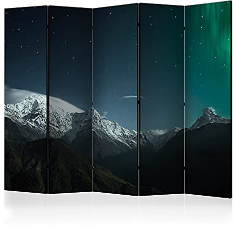 murando - Paravent Raumteiler Landschaft, 225x172 cm, 5-teilig, Wohnzimmer | Mobiler Sichtschutz, sofort einsatzbereit, Holzrahmen, ideal fürs Wohnzimmer oder Büro, geruchsneutral, lichtbeständig