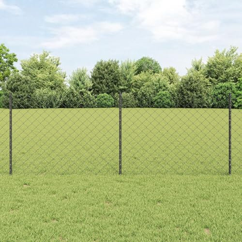 LAPOOH Chain Link Fence with 10 U Posts Grey 0.8x10 m Steel,Decorative Fence,Chain Link Fence,Fencing for Patio Outdoor Yard,Fence Panel-3336267