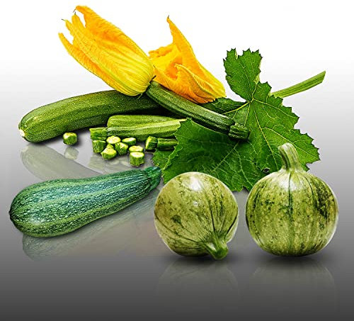Lot de 25 graines à semer - Le Grenier d'Abondance - Trio de Courgettes - 3 sachets individuels