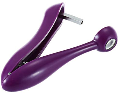 Fiorky Multi-Function Stainless Steel Cherry Pitter Heavy Duty Cherry Seed Remover Cherry Pitter Tool for Making Cherry Jam