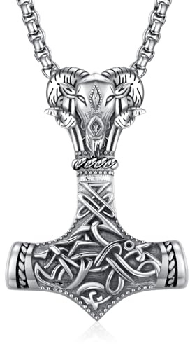 ADMETUS Thor Hammer Halskette Silber 925 Mjölnir Kette Herren Wikinger Anhänger Kette Schmuck Geschenke für Herren with 2.5mm 22+2 Rolo Ketten