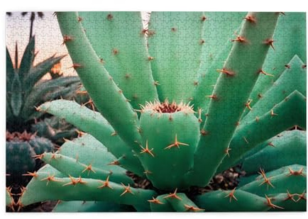 Jigsaw Puzzles1000 Piece Jkiegoq Agave Cactus Printed Educational Intellectual Wooden Puzzles, Fun Puzzles, Stress Relieving Game