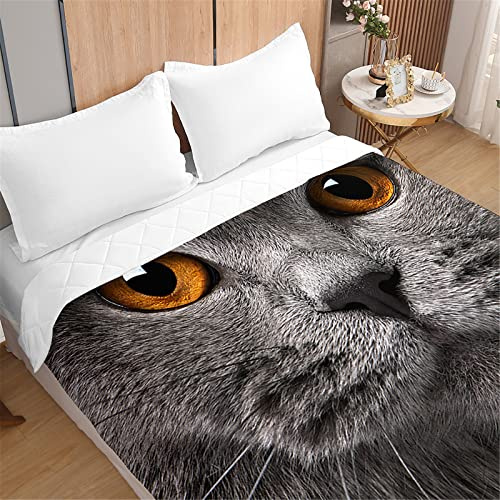 Odot Tagesdecke Bettüberwurf Steppdecke für Doppelbett Einzelbett Kinder, 3D Katzen Druck Bettdecke Stepp Decke Tagesdecken mit Präge Wohndecke Gesteppt Klimaanlage (Schwarze graue Katze,220x240cm)