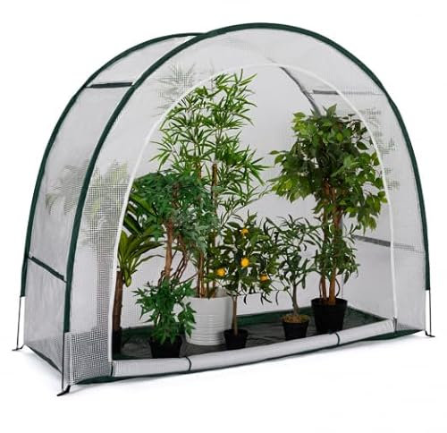 IDMarket - Halbmond-Gewächshaus 200 x 80 x 170 cm, Balkon und Terrasse