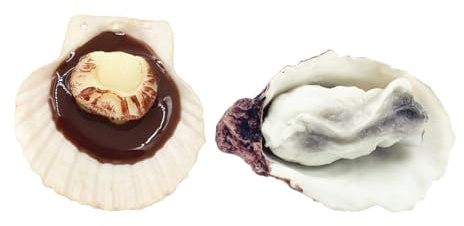 OATIPHO 2 Pièces Modèle Huître Pétoncle Jouet Pétoncle Caoutchouc De Poulpe Faire Semblant De Jouer à Un Jeu De Cuisine Jouet D'huître Huître en Plastique Fantoche PVC Fruit De Mer