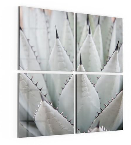 DEQORI Immagini in vetro vero | motivo estetico agave, quadrate, 4 pezzi, 4 x 50 x 50 cm, grande decorazione XXL, decorazione da parete per soggiorno, camera da letto, corridoio e cucina, moderna