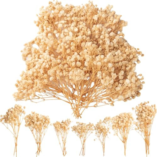 LAUMOE Lot de 50 gypsophiles séchées, naturelles, fleurs séchées pour bricoler, petites gypsophiles blanches, sélection manuelle, environ 13 cm, pour décoration de mariage DIY