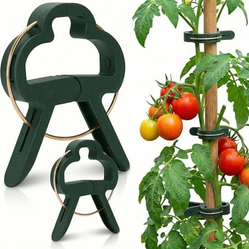 Pflanzenclips - Pflanzenklammern L & M Set, Rankhilfe für Kletterpflanzen und Zimmergrün, Pflanzenclips für Tomaten, Gurken & Rosen(30 Große + 30 Kleine)