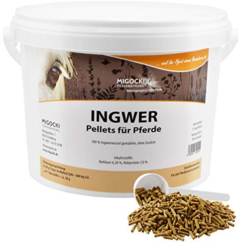 MIGOCKI INGWER für Pferde – 1,5 kg – Reine Kräuter ohne Zusatzstoffe – Pellets