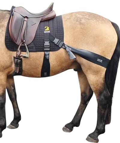 Equine Band System - Equine core conditioning training aid for horses with pro grade physio bands and saddle pad for horses by Equine Balance Bands.