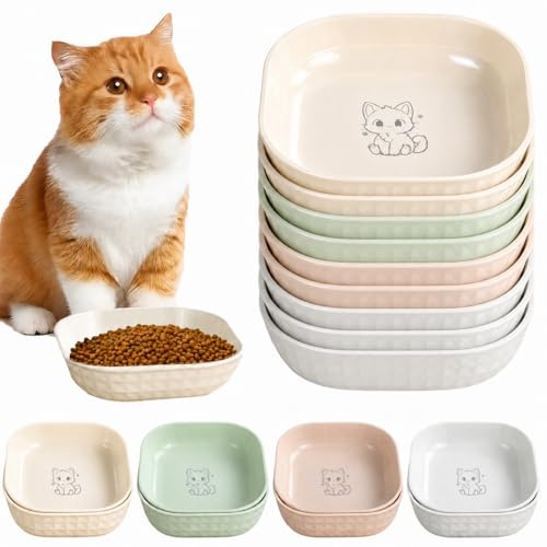 10 Stück Katzennapf,Katzenschüssel,Katzennapf Flach,Fressnapf Katze Futternapf,Runden Katzenteller,Fressnapf Katze,Bunt Katzenfutter Napfset,Cat Plate für Kätzchen und kurzbeinige Katzen