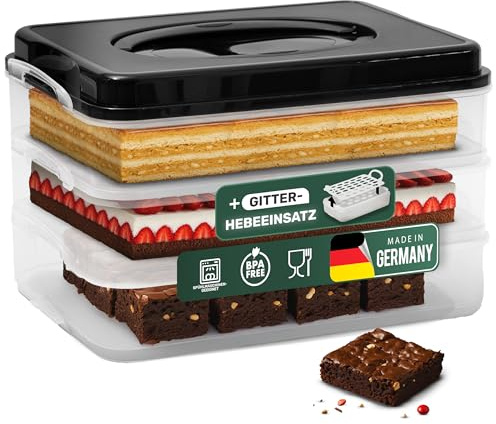 Novaliv Boîte de transport à gâteau avec un étage et couvercle et insert (rectangulaire 40 x 30 cm) Boîte de rangement avec fermeture de sécurité Boîte de transport de gâteau Boîte de transport à