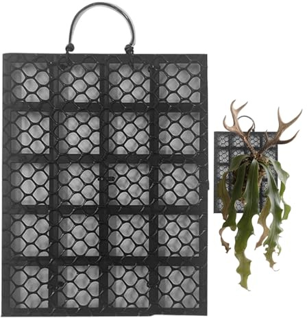 Kit de Montaje de Helecho Cuernos de | Soporte de exhibición de Pared para helechos – Montaje para orquídeas Platycerium para oficinas, Casas, Balcones Interiores y Exteriores