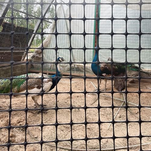 SSDDLZEQ Valla Cuadrada de Malla de Pavo Real, Valla de plástico Ligera y Segura for jardín, gallinas, Conejos y Patios, for Nieve y Mascotas(1x50m/3.3x164ft)