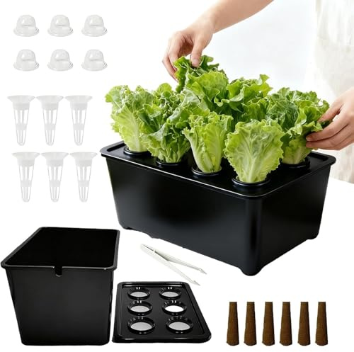 Uhngw Hydroponische Pflanzbox - Komplettes Set Für Die Gartenarbeit Im Haushalt | Hydroponik Anzuchtbox Pflanzenbehälter | Für Gemüse Salat Balkon Terrasse Hotel Wohnung