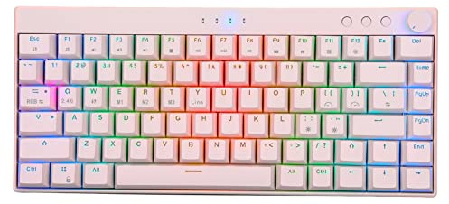 Tastiera da gioco wireless, 82 tasti Retroilluminazione RGB Tastiera da computer a tre modalità 1800 mAh, per PC Gamer Computer, Tastiera da gioco meccanica, per Windows per IOS per Android(albero