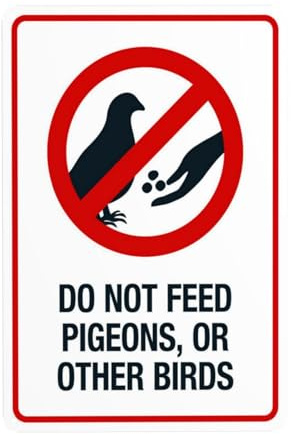 Do Not Feed Pigeons Or Other Birds Metal Warning Sign for Indoor Outdoor Security, Business Office Home Garden Street Decor 20 x 30 cm