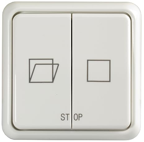 Roto ZEL RWA LT84 - Pulsador de ventilación para sistemas de extracción de humos, color blanco alpino