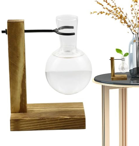 Zegaqae Wasserverbreitungsstation, Pflanzenverbreitungsgläser | Propagierende Station mit hölzernen Ständer Propagateinbudenhalter,Blumenregalhydroponischer Behälter Vase -Gläser für Frauen, Mutter,