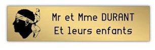 DECOHO - Plaque Boite aux Lettres Or brossé Lettres Noires - 100x25 mm adhésive Personnalisable 2 Lignes emblème Corse - Or