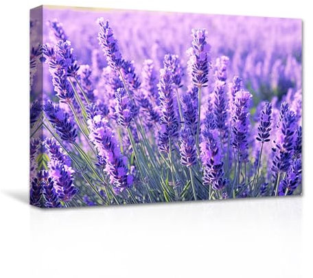 CXHOSTENT Lavendel Leinwand Wandbilder lila Blumen Kunstdrucke Blumenpflanzen Bilder für Mädchenzimmer Schlafzimmer Dekor gerahmt (C, 40.00 x 60.00 cms)