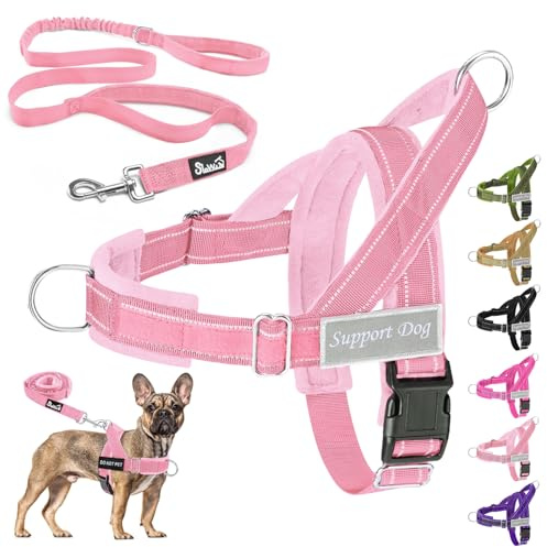 Eyein No Pull Harness for Dogs, Pet Vest and Lead Set with Front Clip | No Choke Design, Adjustable Reflective Anti-pull, Heavy Duty Soft Padded for Walking Training, for Medium Large Dog(Pink,S)
