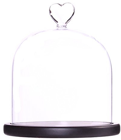 Clear Glass Dome Display Case Heart Handle Cloche With wood Base Dia 6 inch