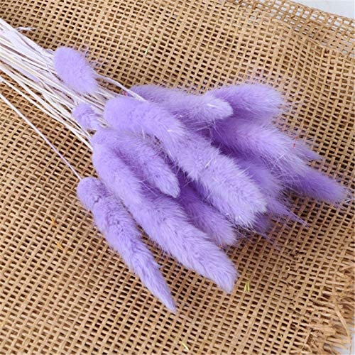 RAILONCH Getrocknete Pampasgras, 30/60 Stück Natürliche Getrocknete Kaninchenschwanz Gras Blumenstrauß Blumen Deko für Hochzeit Schlafzimmer Wohnzimmer (Lila,30)