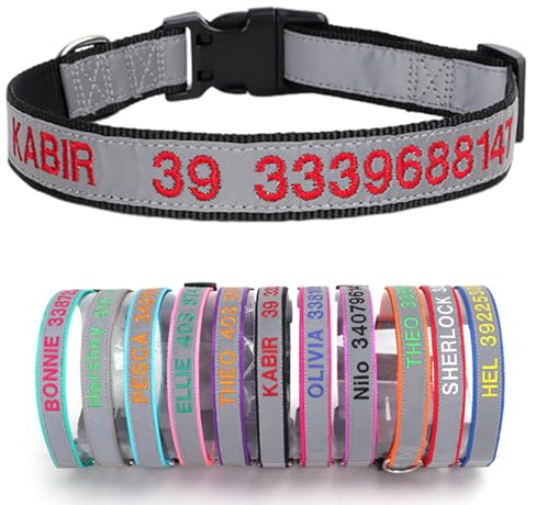 Reflektierend Hundehalsband Nylon mit Personalisiert Gesticktem Namen und Telefonnummer Verstellbar Halsband Passend für Große Mittlere Kleine Hunde Welpe