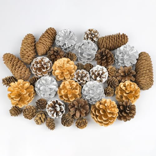 Fangoo 40 Stück Natürliche Kiefernzapfen Weihnachten Tannenzapfen Dekoration Zapfen zum Basteln für DIY Weihnachtsbäume Herbst Winter Home Einrichtungs Blumenkranz Dekoration