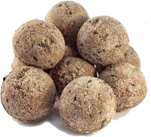 Beewarm Premium Wild Bird Food – Fat Balls for Birds – High Energy, No Mess Bird Feed (50 Fat balls)
