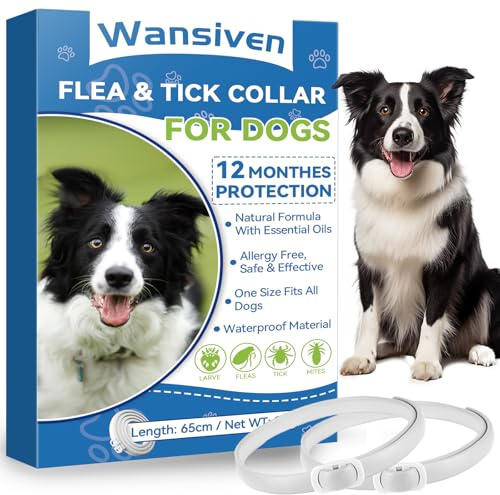 Wansiven Collare antipulci per cani, Collare antipulci regolabile per cani, zecche impermeabile, Protezione 12 mesi, 65 cm
