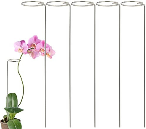5Pack Plant Support Stakes, Single Stem Plant Support Stakes, Flower Support Rings, Tall Stainless Steel Plant Support Stakes, Plant Support Cages for Amaryllis Tomatoes Peony Lily Rose(40cm/15.7in)